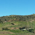 Plot 49B recortadaMiguel 20170125_120923